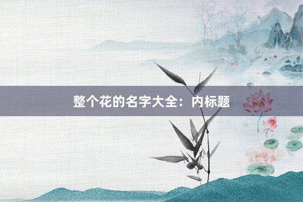 整个花的名字大全:内标题